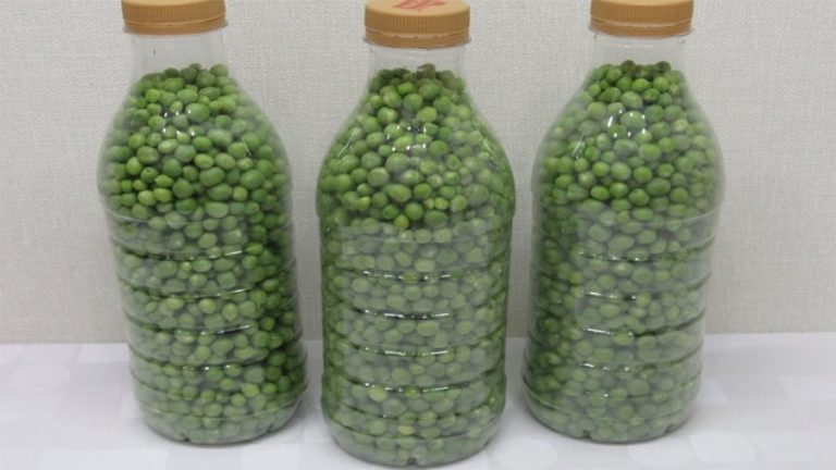 Cum se congelează mazărea verde în sticle de plastic