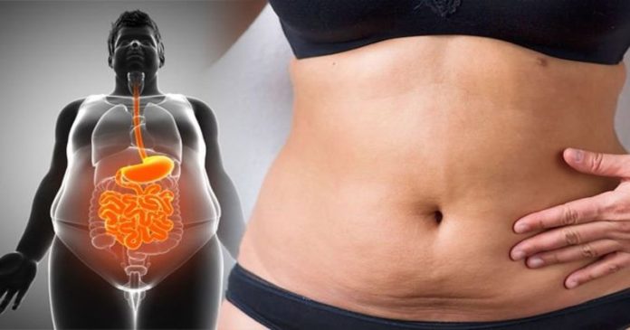 slabit grasime abdominala dieta de slabit cu ceai de papadie
