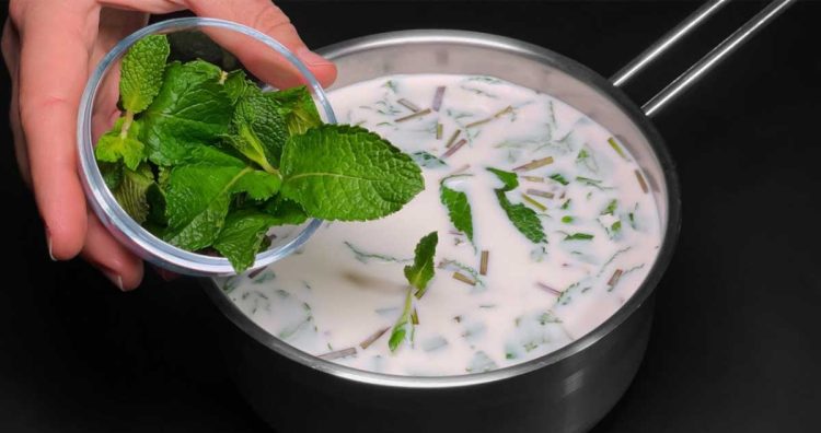 MENTĂ – Un REMEDIU Natural Pentru a SCĂPA de  STĂRILE de GREAȚĂ și DURERILE de STOMAC