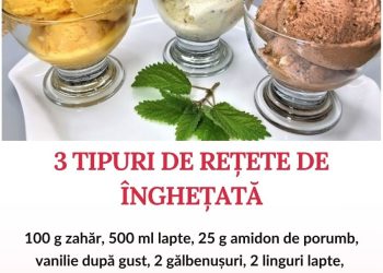 3 Tipuri de rețete de înghețată – Rareori mai cumpăr de la magazin de când am învățat aceste rețete simple